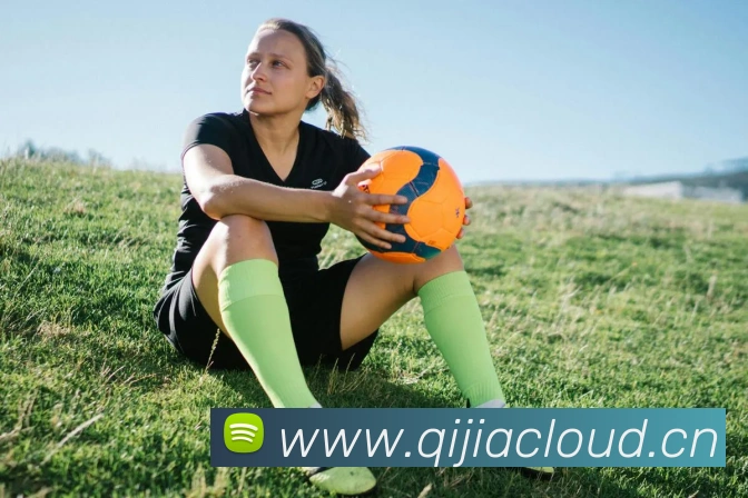 星空体育中国官方网站APP 封面图