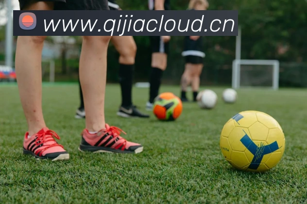 数据防护可视化